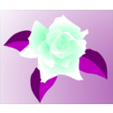 download Pink Rose clipart image with 180 hue color