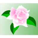 download Pink Rose clipart image with 0 hue color