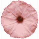 download Thalichedi Flower clipart image with 90 hue color