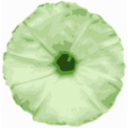 download Thalichedi Flower clipart image with 180 hue color