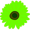 download Sunflower clipart image with 45 hue color