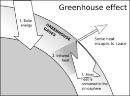 Greenhouse Effect