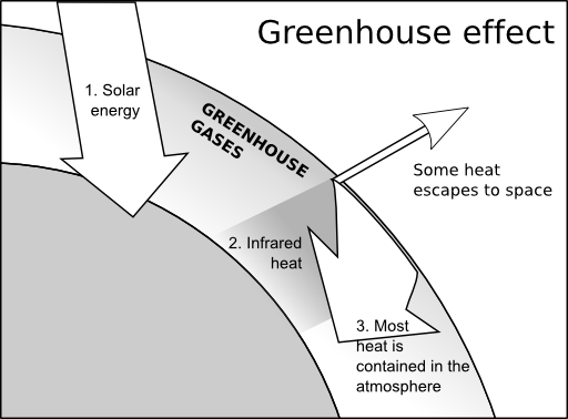 Greenhouse Effect