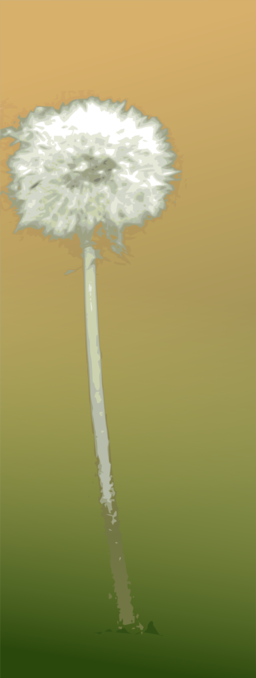 Pusteblume Dandelion Clock