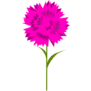 download Carnation clipart image with 315 hue color