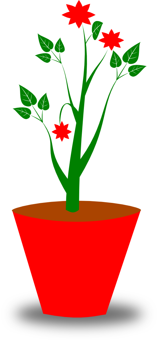 Flower Pot