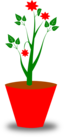 Flower Pot