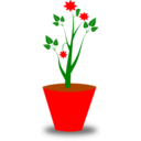 Flower Pot