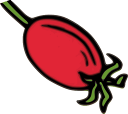 Rose Hip Fruit