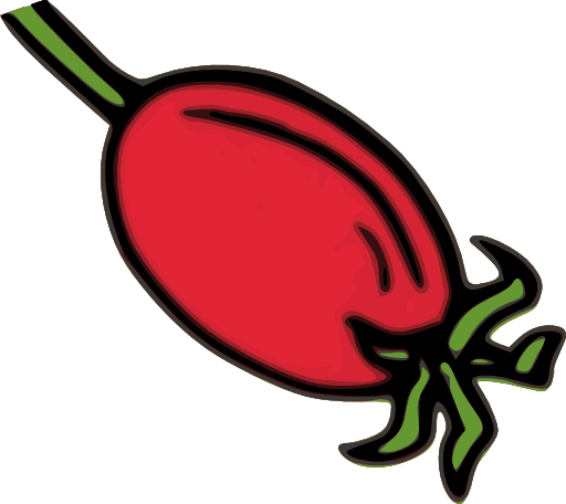 Rose Hip Fruit