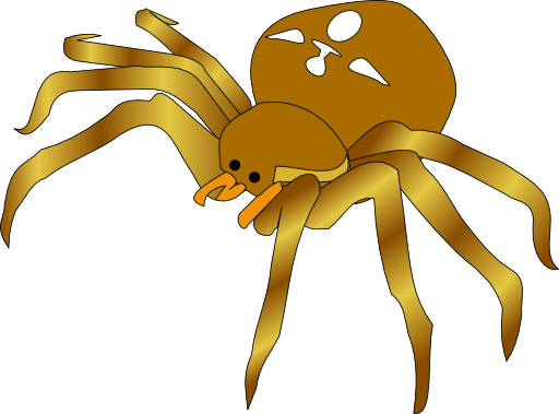 Rodney The Spider