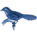download Babax Lanceolatus clipart image with 180 hue color