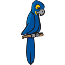 download Blue Macaw clipart image with 0 hue color