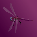 download Blue Dragonfly clipart image with 90 hue color