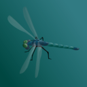 download Blue Dragonfly clipart image with 315 hue color