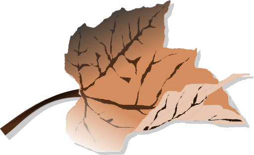 Brown Leaf