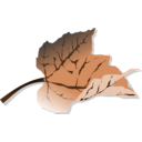 Brown Leaf