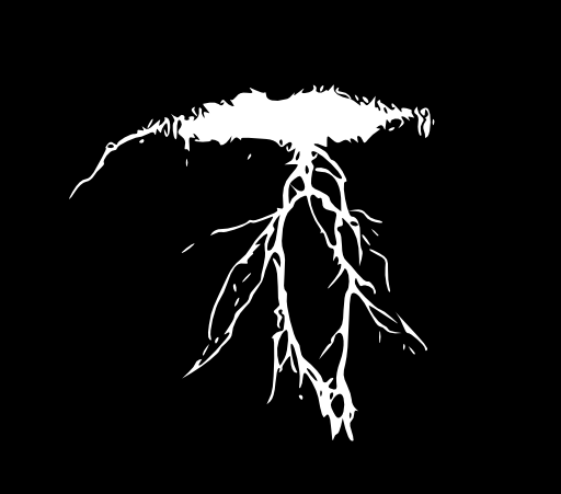 Lightning 05
