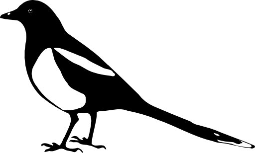 Pica Pica Magpie Silhouette