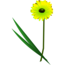 download Flowers Gerbera clipart image with 45 hue color