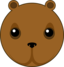 Cute Bear Head