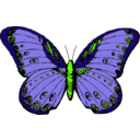 download Butterfly clipart image with 45 hue color