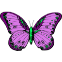 download Butterfly clipart image with 90 hue color