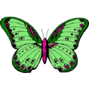 download Butterfly clipart image with 270 hue color