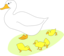 Goose And Goslings
