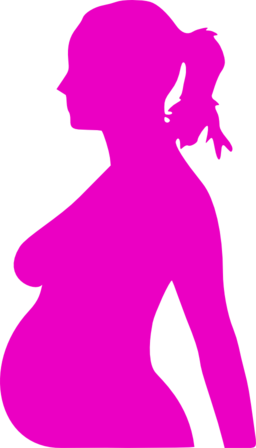 Pregnancy Silhouet