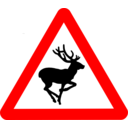 Roadsign Bambi