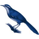 download Megalurulus Mariei clipart image with 180 hue color