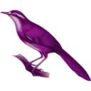 download Megalurulus Mariei clipart image with 270 hue color