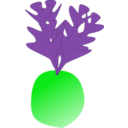 download Radish clipart image with 135 hue color
