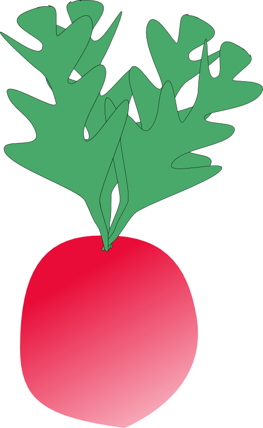 Radish