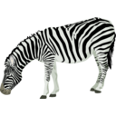 download Zebra clipart image with 45 hue color
