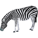 download Zebra clipart image with 180 hue color