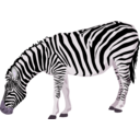 download Zebra clipart image with 270 hue color