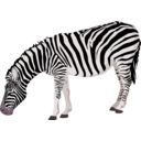 download Zebra clipart image with 315 hue color