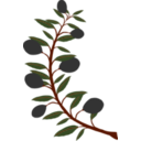 download Olive Branch Black Olive clipart image with 315 hue color