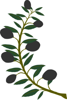 Olive Branch Black Olive