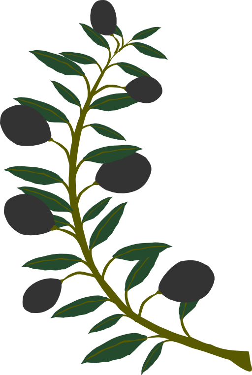 Olive Branch Black Olive