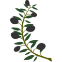 download Olive Branch Black Olive clipart image with 0 hue color