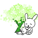 download Cherry Blossoms Rabbit clipart image with 90 hue color