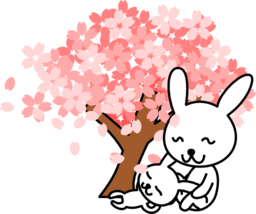 Cherry Blossoms Rabbit