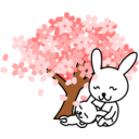 download Cherry Blossoms Rabbit clipart image with 0 hue color