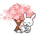 Cherry Blossoms Rabbit