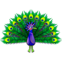 download Peacock clipart image with 45 hue color