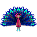 download Peacock clipart image with 135 hue color