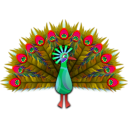 download Peacock clipart image with 315 hue color